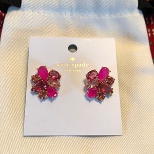 🎀NWT🎀 Kate Spade Pink Earrings